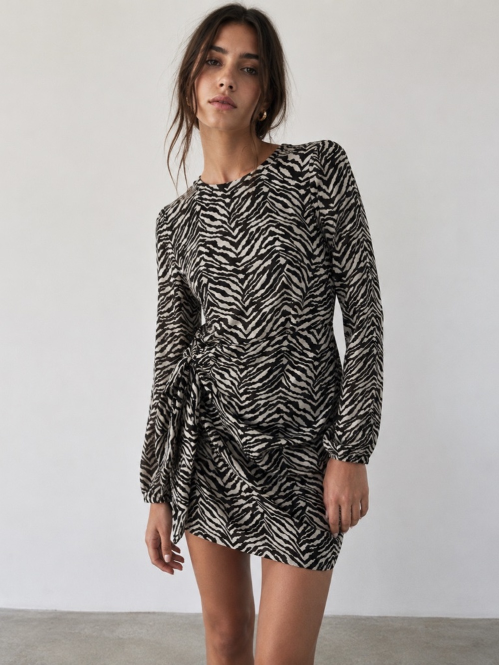 Zara Long Sleeve Zebra Animal Print Dress Women Size Small Capsule Wardrobe